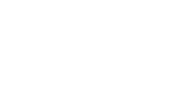 Alina Real Estate Expert web logo for black BG